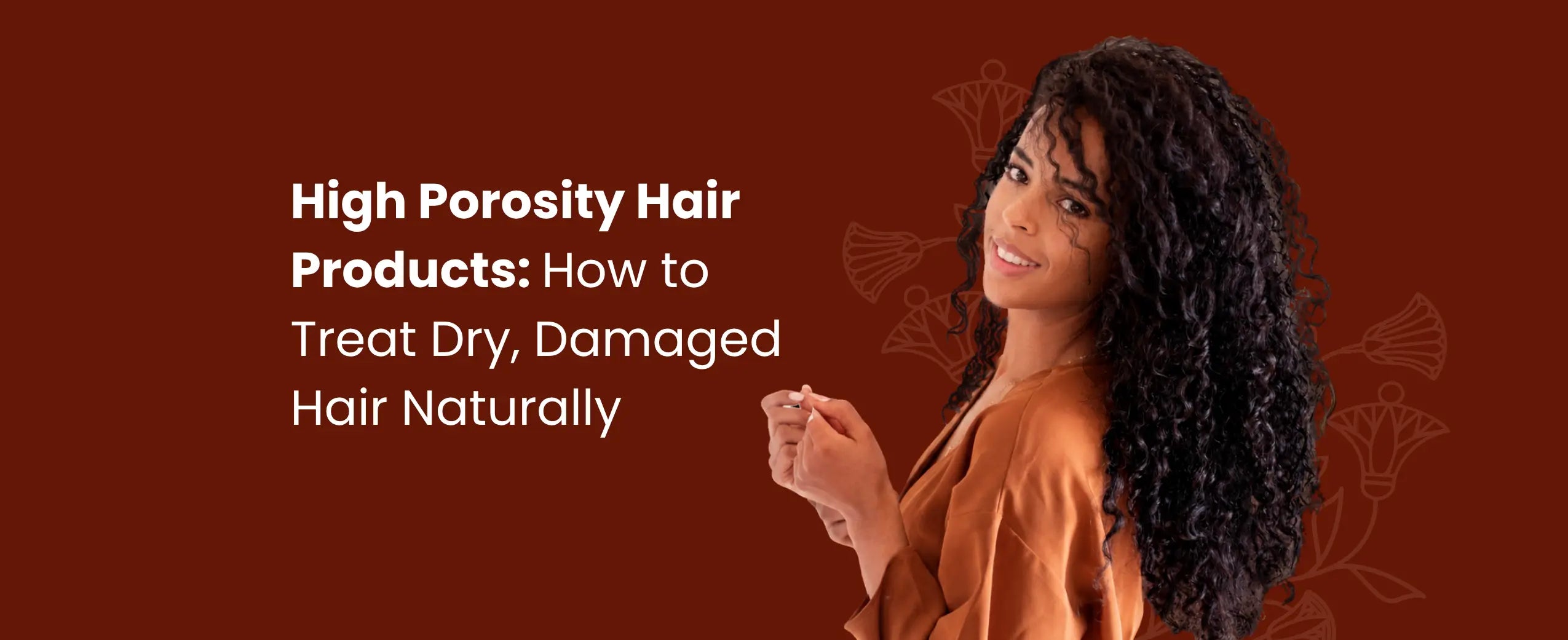 High Porosity Hair Products: How to Treat Dry, Damaged Hair Naturally